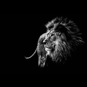 Meet your Posher, Tsegit